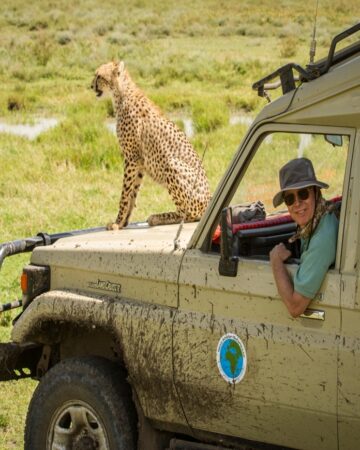 Signature Safaris