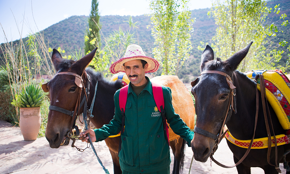 Kasbah Tamadot – Morocco – Mule Riding – www-virginlimitededition-com – mule-trek